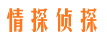 楚州市侦探调查公司